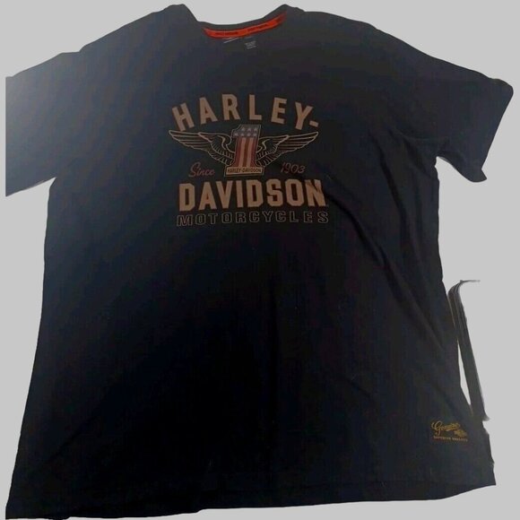 Harley-Davidson Other - Harley Davidson American Flag, Eagle, Number One, 2 Sided Black T-Shirt …
